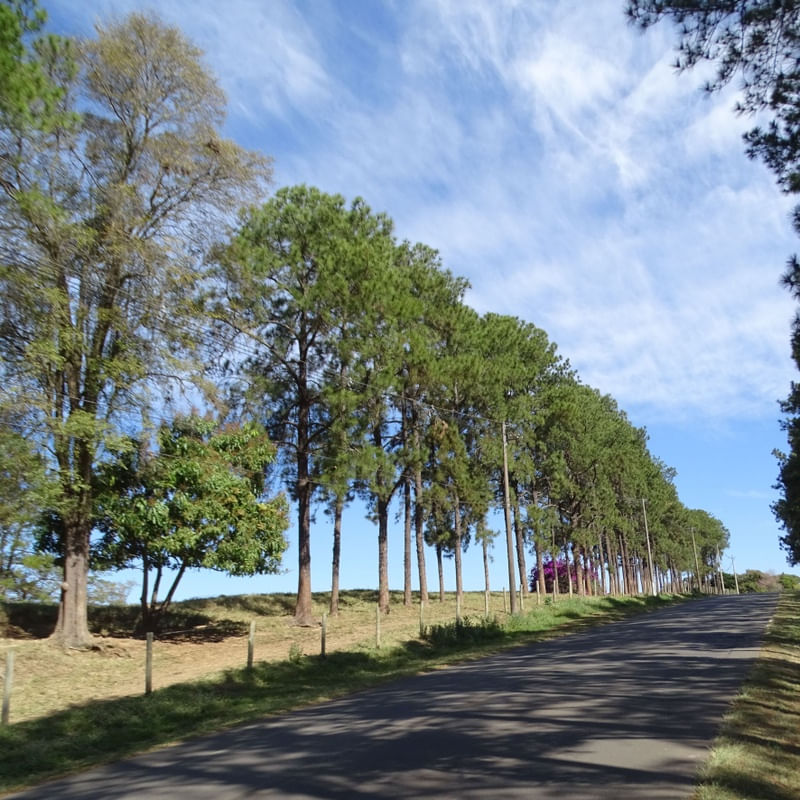 ESTRADA GRACIOSA COM CÉU AZUL