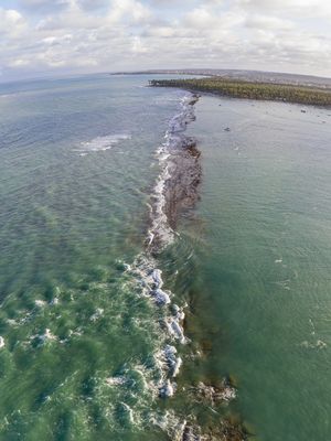 GRANDE BARREIRA DE CORAIS DA PRAIA DOS CARNEIROS