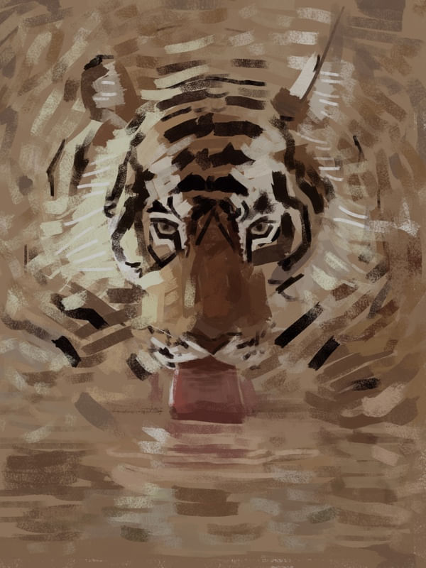 TIGRE RIO