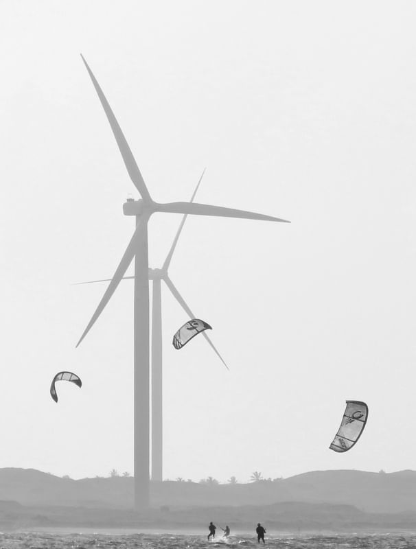 PARAÍSO E VENTOS