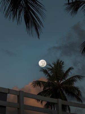 CERCA, PALHAS E LUA