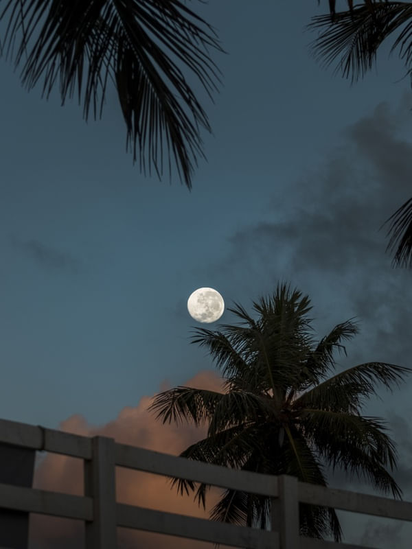 CERCA, PALHAS E LUA