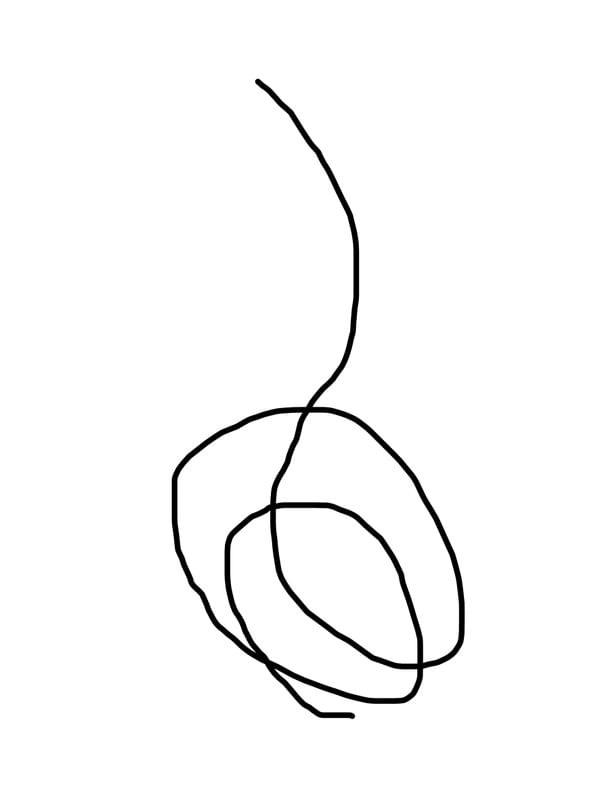 ESPIRAL DA VIDA