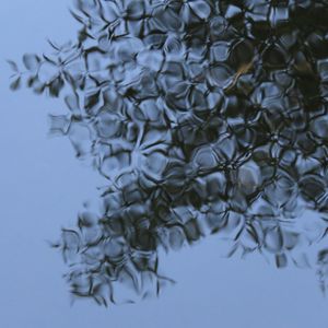 REFLEXO DE FOLHAS NO RIO