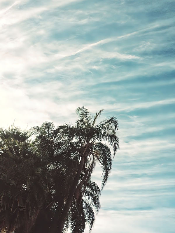 RASGOS NO CÉU