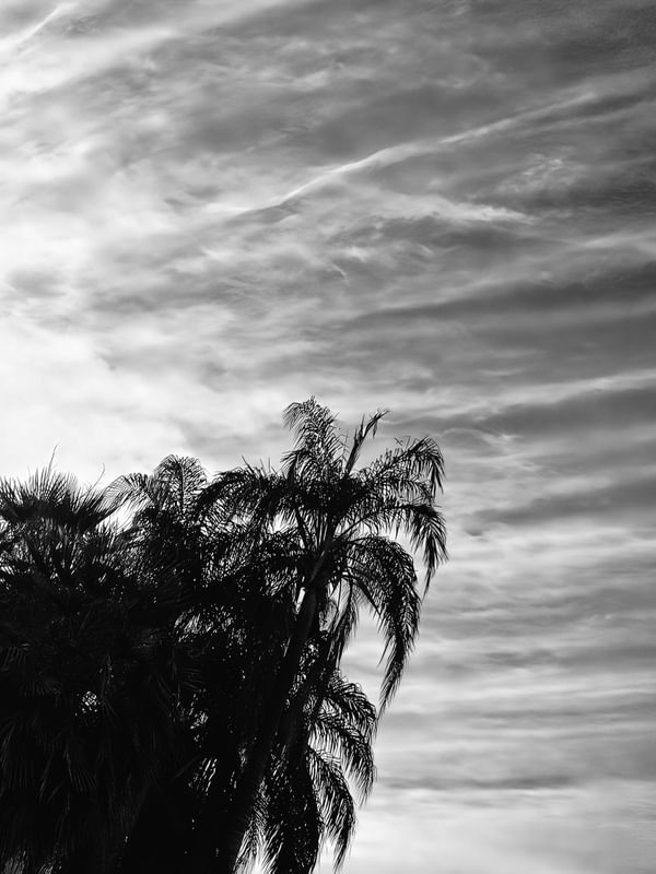 RASGOS NO CÉU EM PB