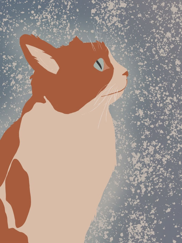 A GATA E HORIZONTE