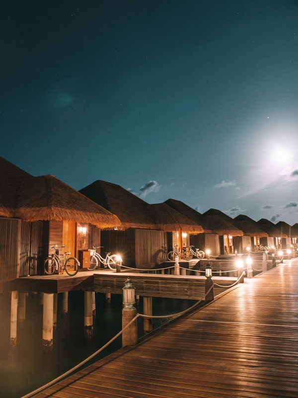 MALDIVIAN NIGHT