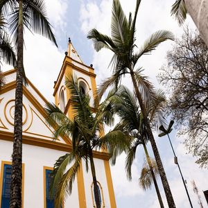 IGREJA E PALMEIRAS