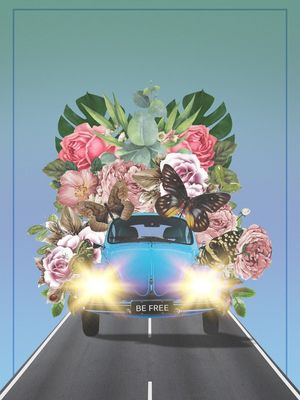 BE FREE FUSCA