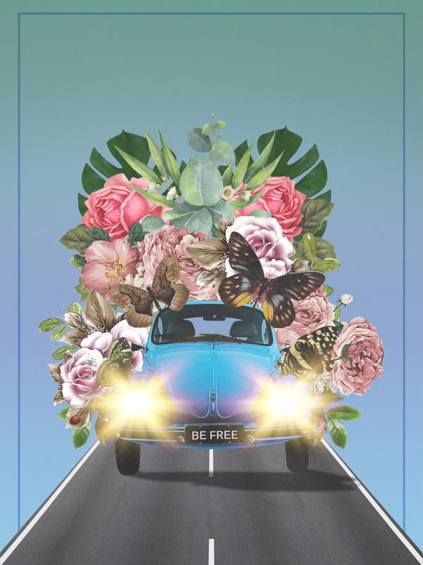 BE FREE FUSCA