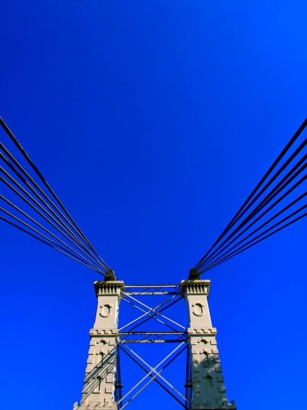 PERSPECTIVAS 49