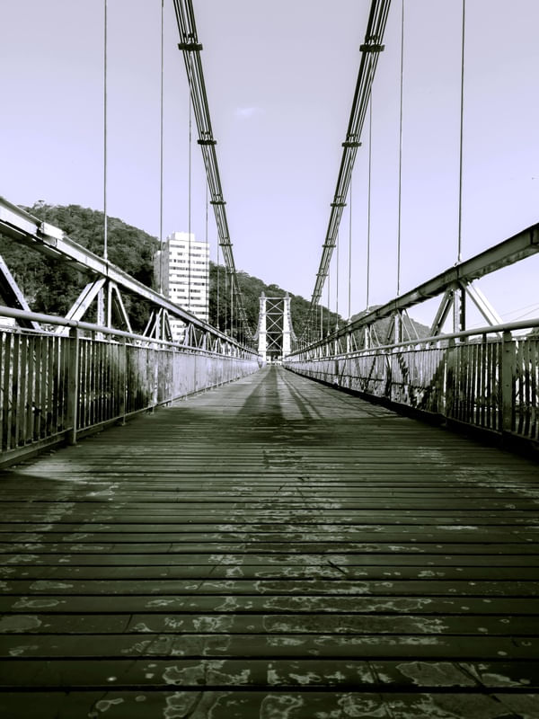PERSPECTIVAS 53