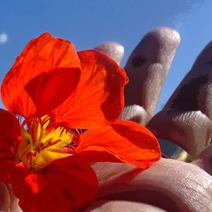 FLOR VERMELHA NA MÃO