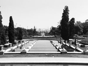 PARQUE DA INDEPENDÊNCIA II