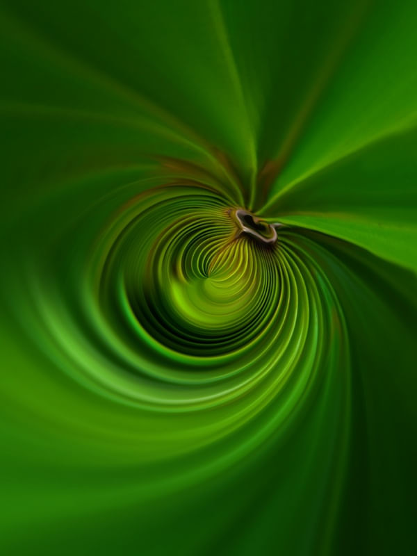 RADIAÇÃO DA NATUREZA