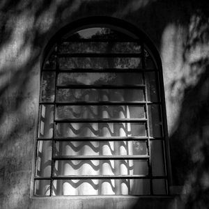 SOMBRAS NA JANELA 1