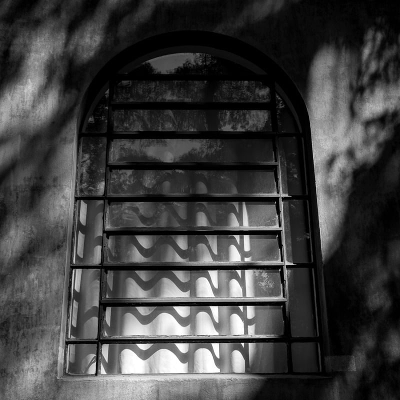 SOMBRAS NA JANELA 1