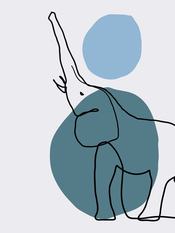 ELEFANTE EM LINHAS 2