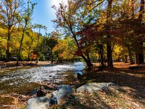 RIO DOURADO EM SMOKY MOUNTANIS