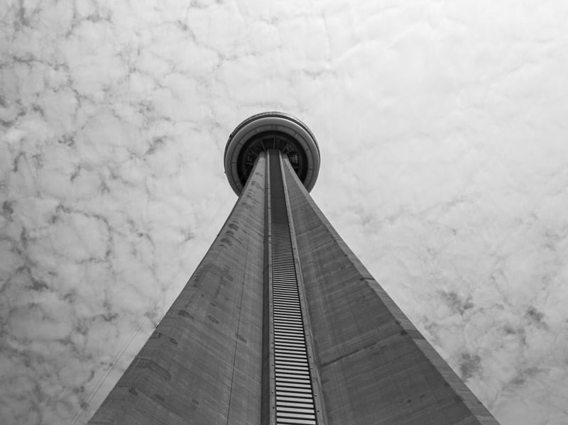 TORONTO 18.3