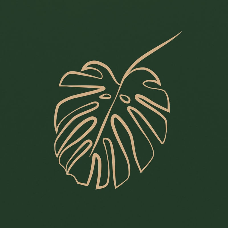 PINCEL MONSTERA MUSGO