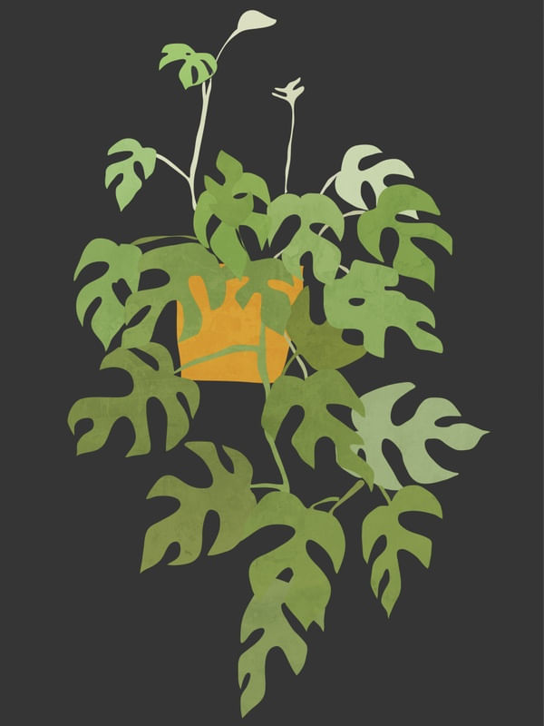 MINIMAL ABSTRACT ART PLANT 28
