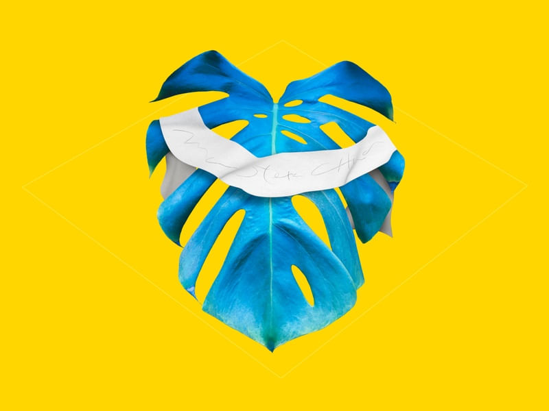 MONSTERA CHAOS