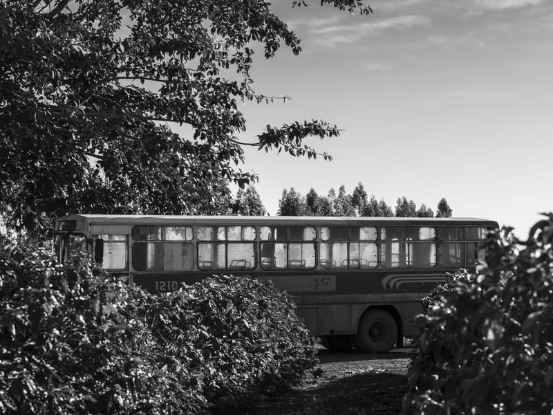 ONIBUS RURAL