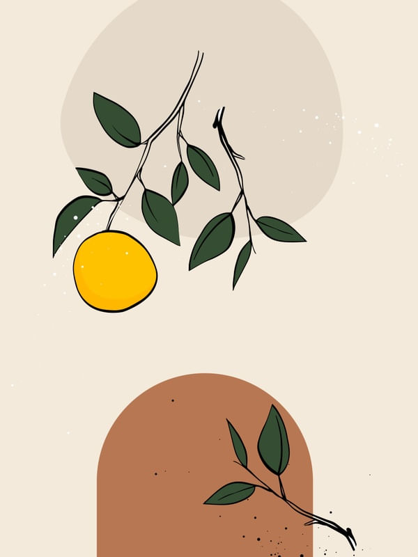 LIMÕES MINIMALISTA