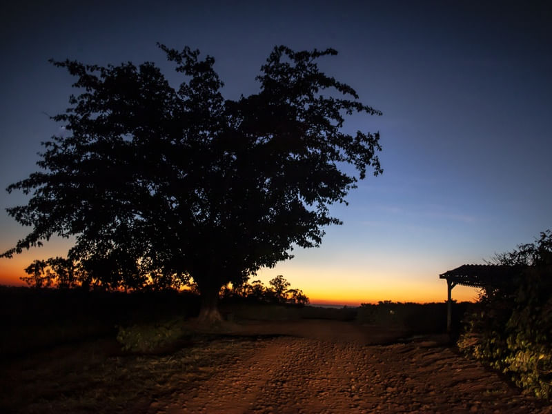 PAISAGEM RURAL AO AMANHECER