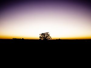 O AMANHECER NA AREA RURAL