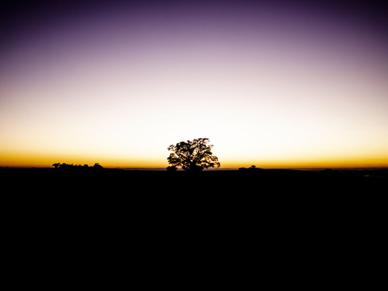 O AMANHECER NA AREA RURAL