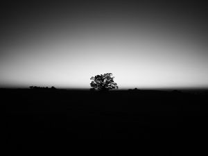 PAISAGEM RURAL AO AMANHECER PB