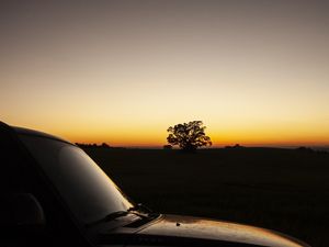 A TR4 AO AMANHECER NA AREA RURAL I