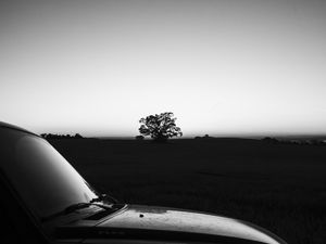 PAISAGEM RURAL PB