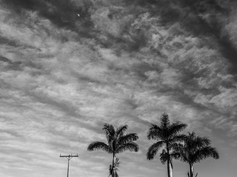 PAISAGEM DAS NUVENS