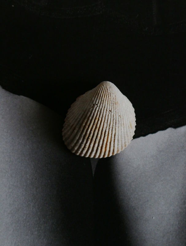 DELICADEZAS