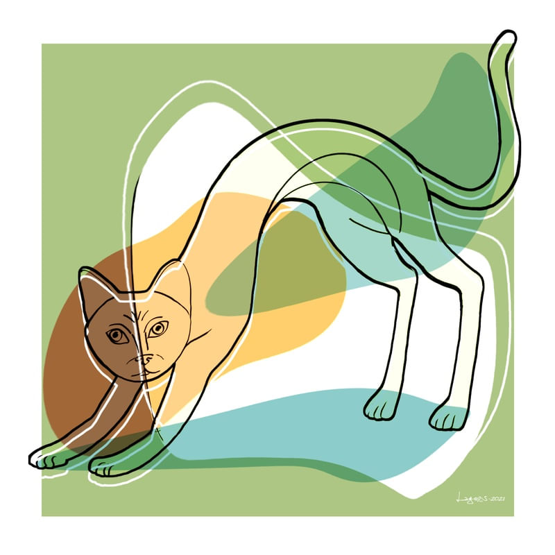 CAT MINIMALISTA 3