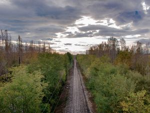 PERSPECTIVAS 41