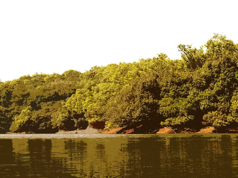 PARAÍSO A