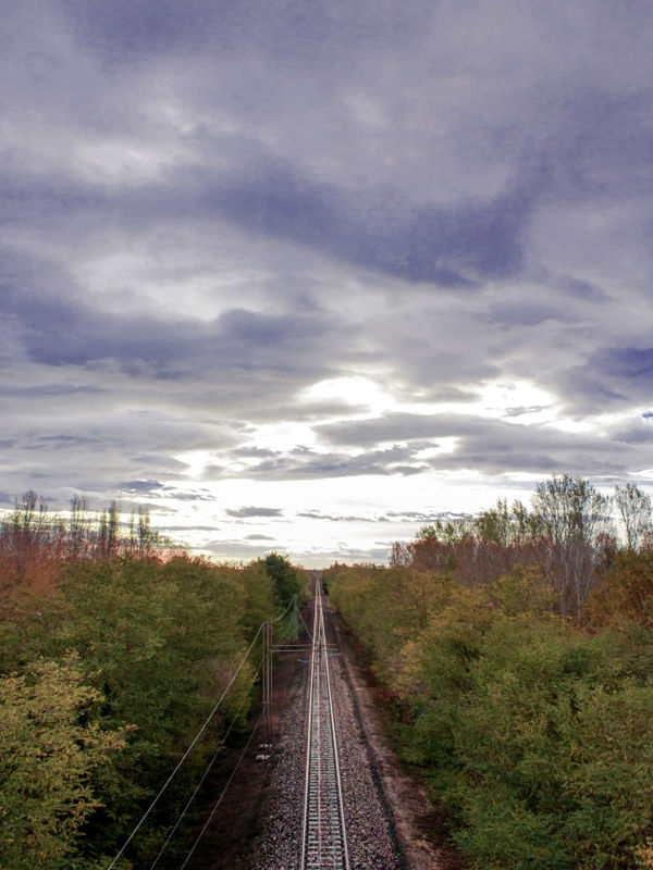 PERSPECTIVA 42