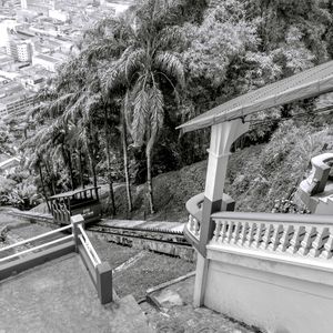PERSPECTIVAS 46