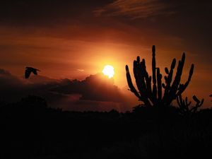 O SOL SE PONDO NA COLINA