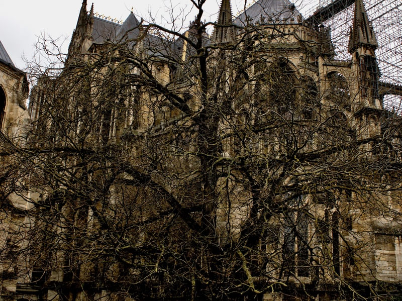 DA SÉRIE REIMS: CATEDRAL, CADAFALSO, ÁRVORE