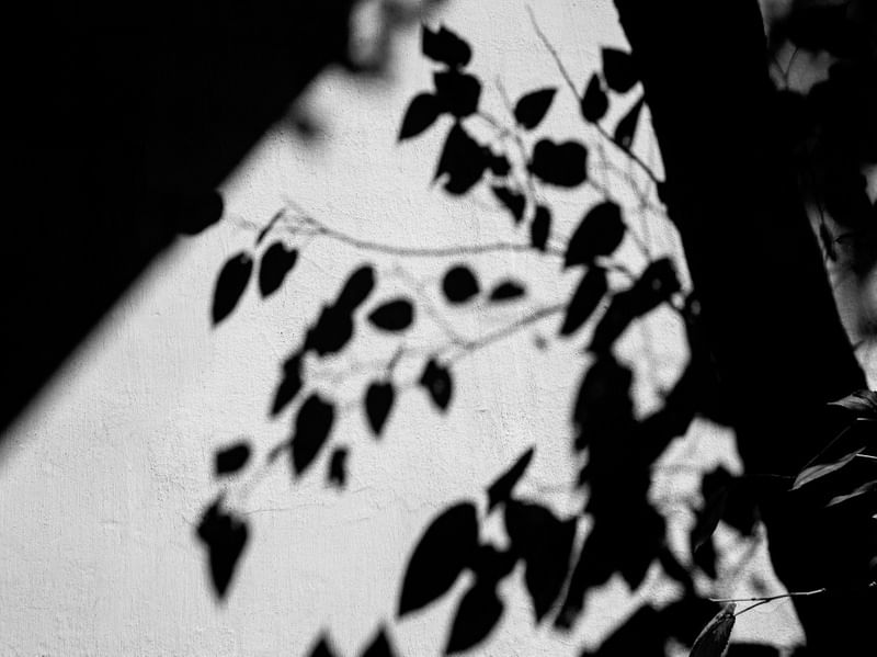 SHADOWS 2021 1