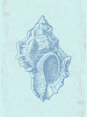 MARÍTIMO XIV