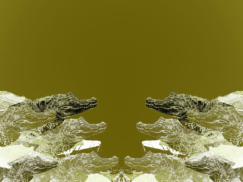JACARÉ 45