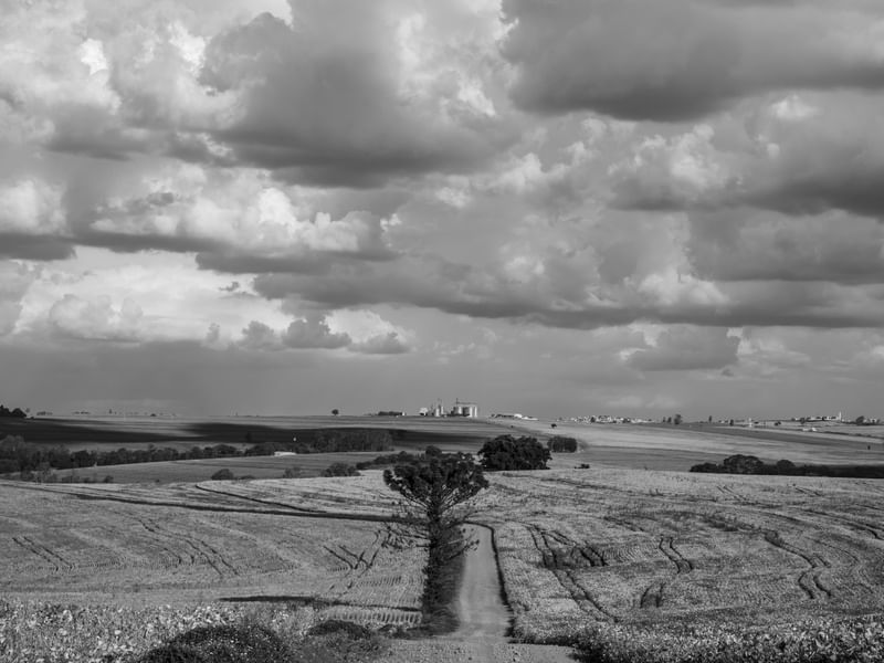 AS NUVENS NO CAMPO