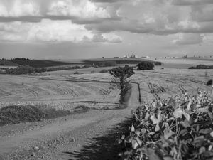 A ESTRADA NO CAMPO